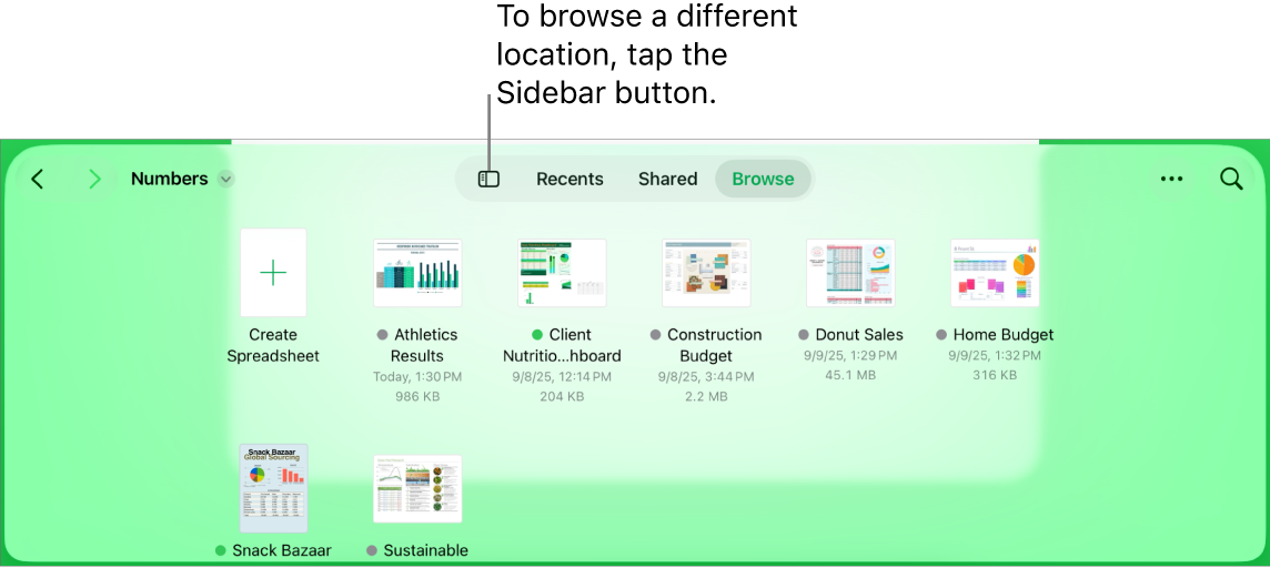 The browse view of the document manager with a location link in the top-left corner and below it a Search field. In the top-right corner are the Add a Spreadsheet button; the New Folder button; a pop-up menu to use list or icon view, and to filter by name, date, size, kind, and tag; and the Select button. Below these are thumbnails of existing spreadsheets.