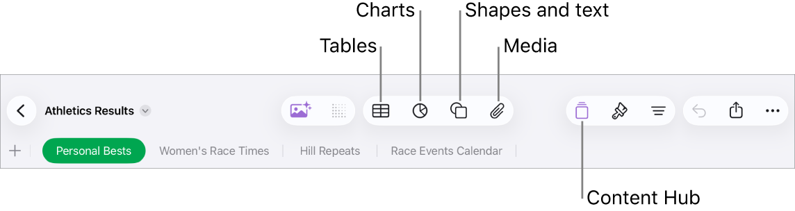 The controls for adding an object, with the buttons at the top to add tables, charts, shapes (including lines and text boxes), and media.
