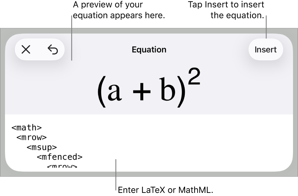 The Equation dialog, showing an equation written using MathML commands, and a preview of the formula above.