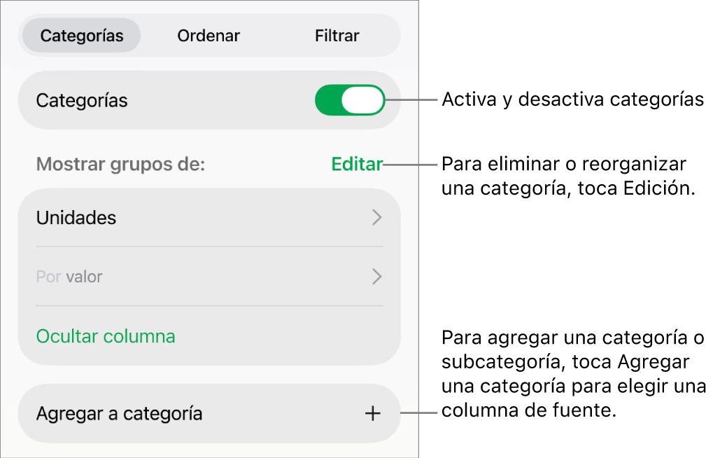 El menú Categorías del iPad con opciones para desactivar las categorías, eliminar categorías, reagrupar datos, ocultar una columna origen y agregar categorías.