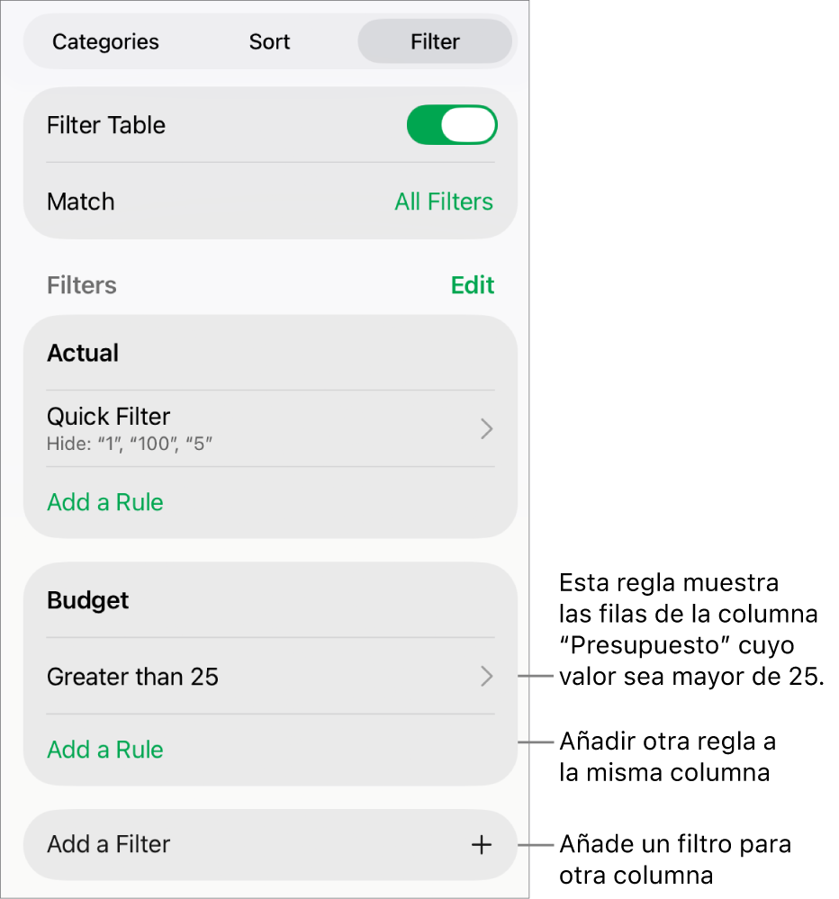 Controles para añadir reglas de filtro nuevas o editar las existentes.
