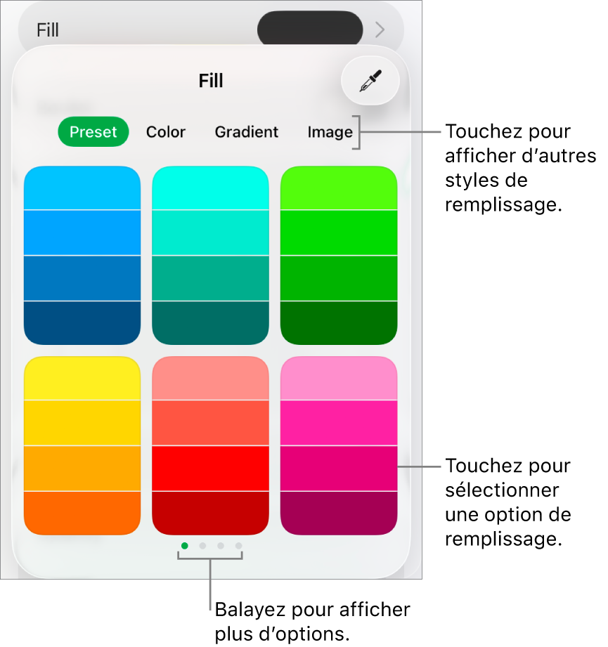 Options de remplissage de l’onglet Style du bouton Format.