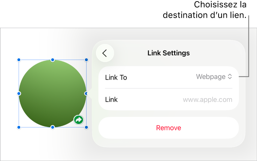 Les commandes Réglages du lien avec l’option Page Web sélectionnée au-dessus du bouton Supprimer.