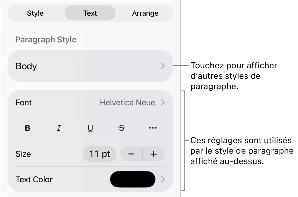 Menu Format avec commandes de texte permettant de définir les styles, la police, la taille et la couleur des paragraphes et des caractères.