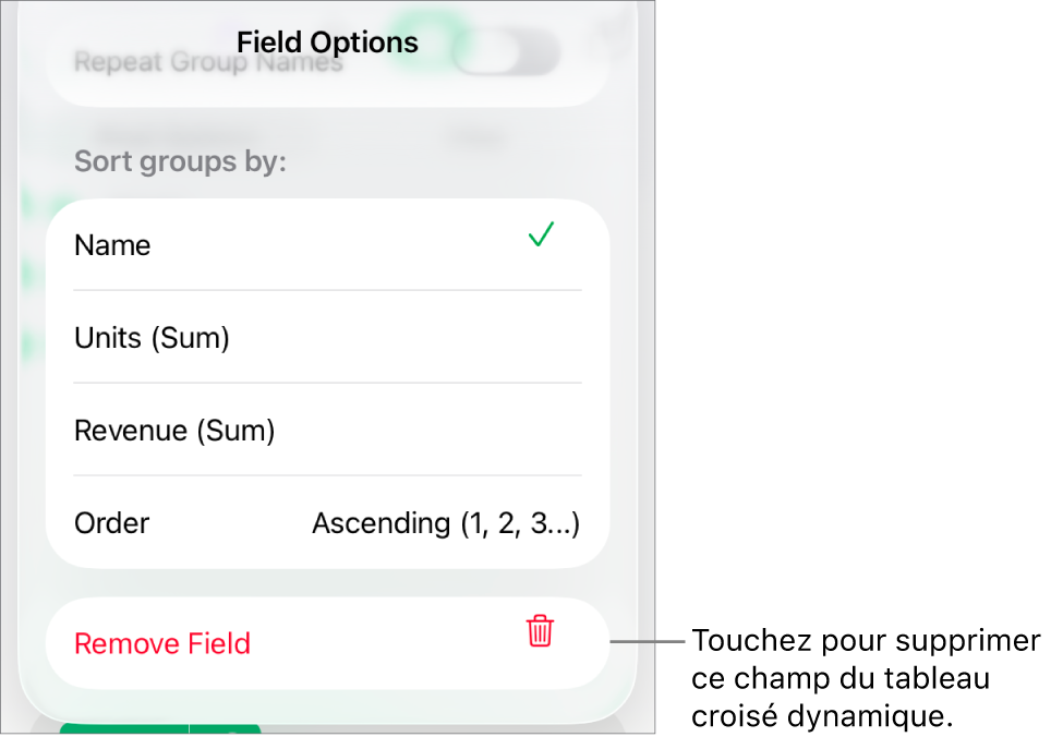 Menu Options de champ avec commandes de regroupement et de tri des données, ainsi que l’option de suppression de champ.