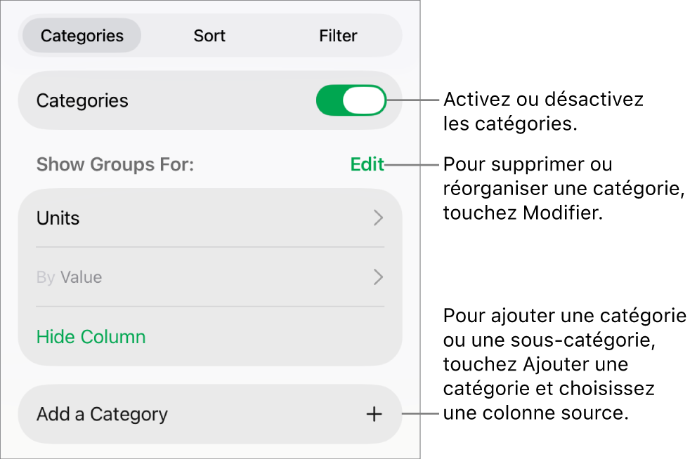 Le menu Catégories pour l’iPad avec des options pour désactiver des catégories, supprimer des catégories, regrouper des données, masquer une colonne source et ajouter des catégories.