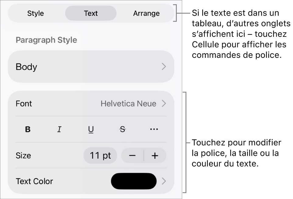 Commandes de texte du menu de format permettant de définir les styles, la police, la taille et la couleur des paragraphes et des caractères.