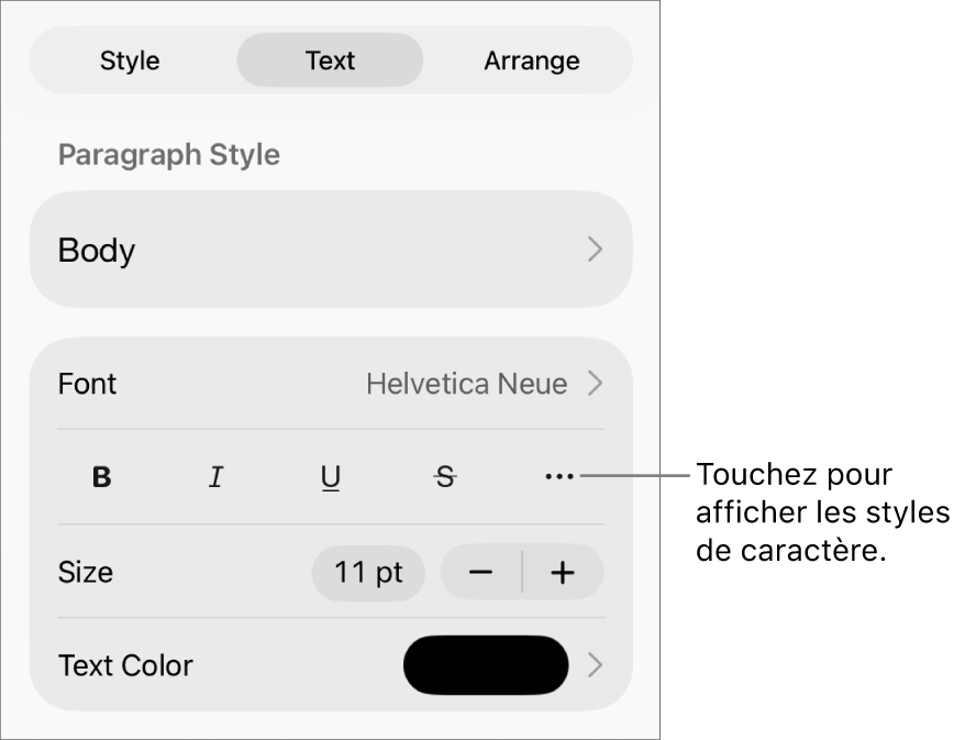 Les commandes de Format avec les styles de paragraphes en haut, puis les commandes de Police. Sous Police se trouvent les boutons Gras, Italique, Souligné, Barré et Plus d’options de texte.