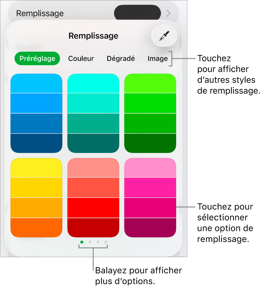Options de remplissage de l’onglet Style du bouton Format.