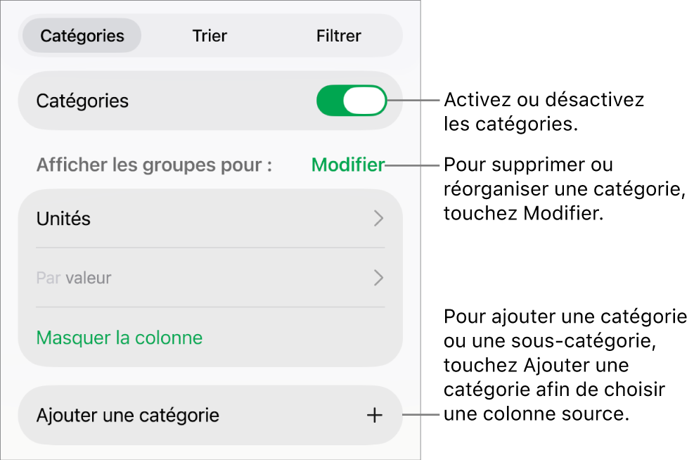 Le menu Catégories pour iPad, avec des options permettant de désactiver les catégories, supprimer des catégories, regrouper des données, masquer une colonne source et ajouter des catégories.