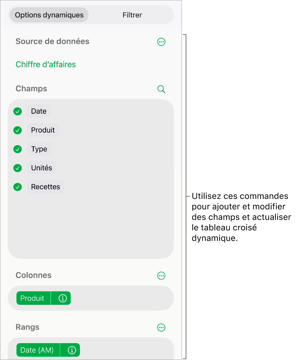 Le menu « Options dynamiques » affichant des champs dans les sections Colonnes, Rangs et Valeurs, ainsi que des commandes permettant de modifier les champs.