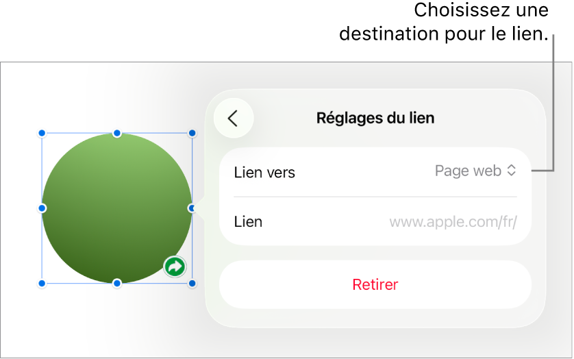 Les commandes « Réglages du lien » avec une page web sélectionnée et le bouton Supprimer en bas.