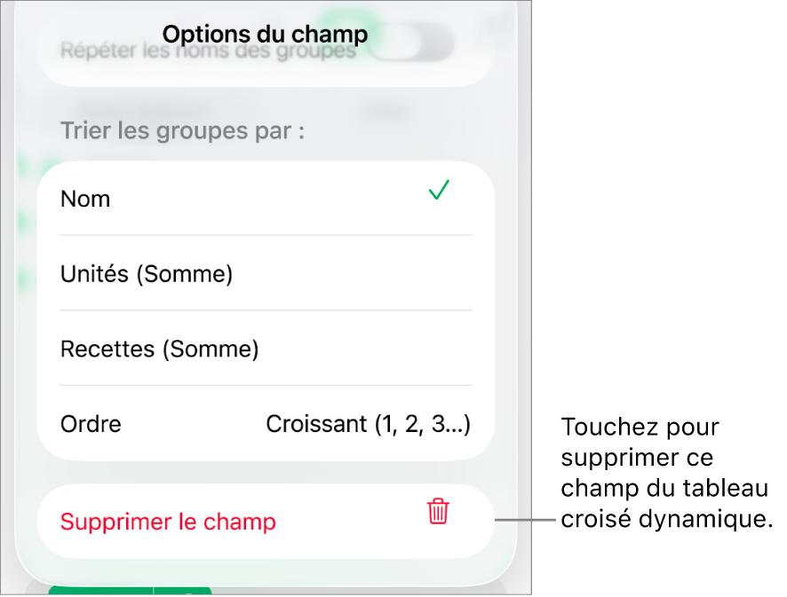 Le menu « Options du champ » affichant les commandes permettant de regrouper et de trier les données, ainsi que l’option de suppression d’un champ.