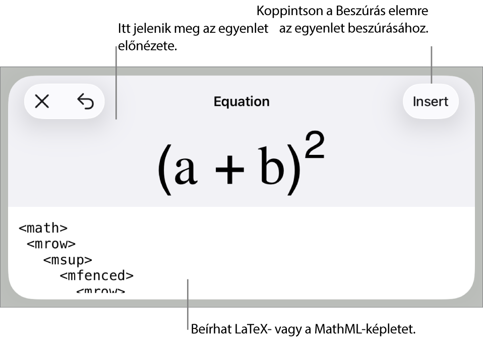 Az Egyenlet párbeszédpanel, amelyen egy, a MathML-parancsok használatával írt egyenlet, felül pedig az egyenlet előnézete látható.