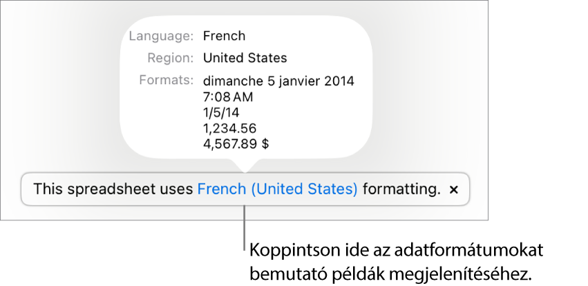 Értesítés az eltérő nyelvi és regionális beállításokról, és látható néhány példa az adott nyelvre és régióra jellemző formátumokra.