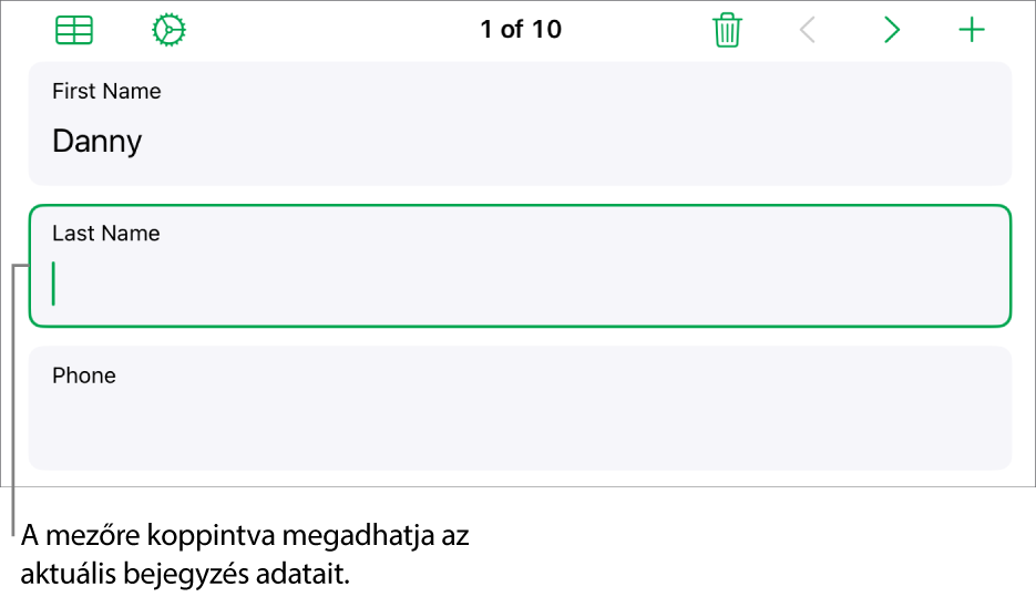 Egy űrlap bejegyzése az aktív mezővel és a beszúrási ponttal.