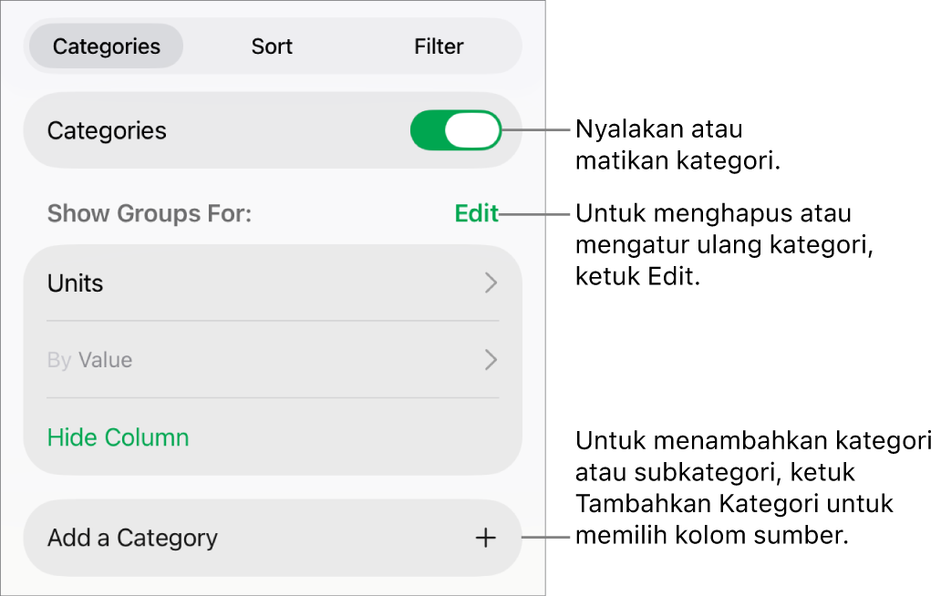 Menu Kategori untuk iPad dengan pilihan untuk mematikan kategori, menghapus kategori, mengelompokkan ulang data, menyembunyikan kolom sumber, dan menambah kategori.