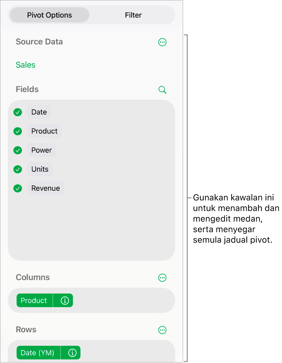 Menu Pilihan Pivot menunjukkan medan dalam bahagian Lajur, Baris dan Nilai, juga kawalan untuk mengedit medan.
