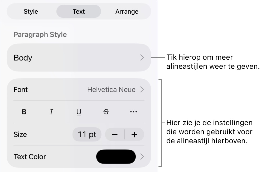 Het opmaakmenu met tekstregelaars voor het instellen van alinea- en tekenstijl, lettertype, lettergrootte en kleur.