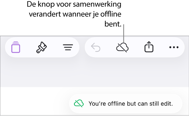 De knoppen boven in het scherm, met de knop voor samenwerking die is veranderd in een wolk met een schuine streep. De volgende melding staat op het scherm: 'Je bent offline, maar je kunt nog wel wijzigingen aanbrengen.'