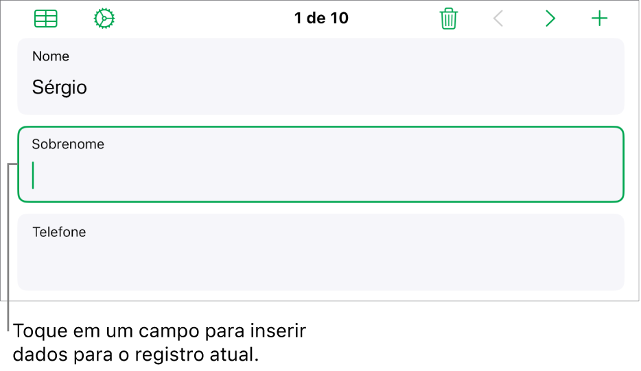 Um registro em um formulário mostrando um campo ativo com um ponto de inserção.