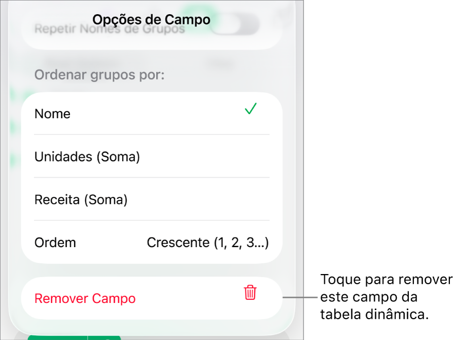 O menu Opções de Campo, mostrando os controles para agrupar e classificar dados, assim como a opção de remover um campo.