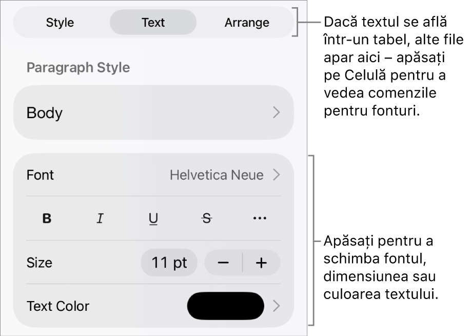 Comenzi text din meniul Format pentru configurarea paragrafelor și a stilurilor, fonturilor, dimensiunii și culorii caracterelor.