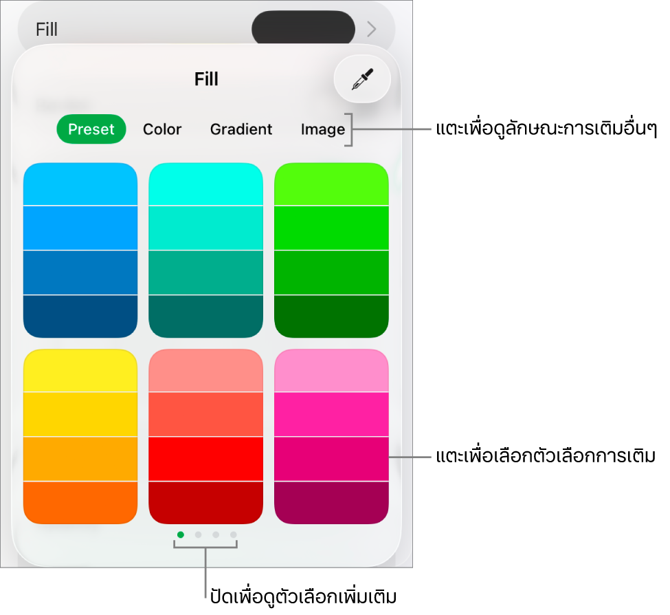 ตัวเลือกการเติมในแถบลักษณะของปุ่มรูปแบบ