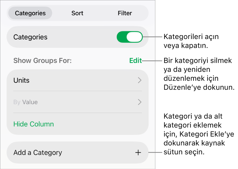 Kategorileri kapatma, kategorileri silme, verileri yeniden gruplama, kaynak sütunu gizleme ve kategori ekleme seçeneklerini içeren, iPad için Kategoriler menüsü.