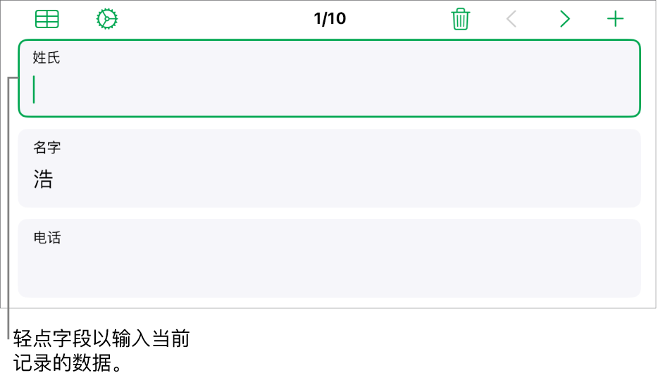 表单中的记录显示带插入点的活跃字段。