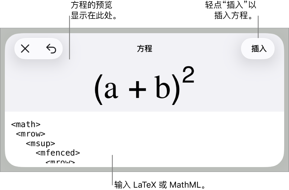 “方程”对话框，显示使用 MathML 命令所写的方程，以及上方公式的预览。