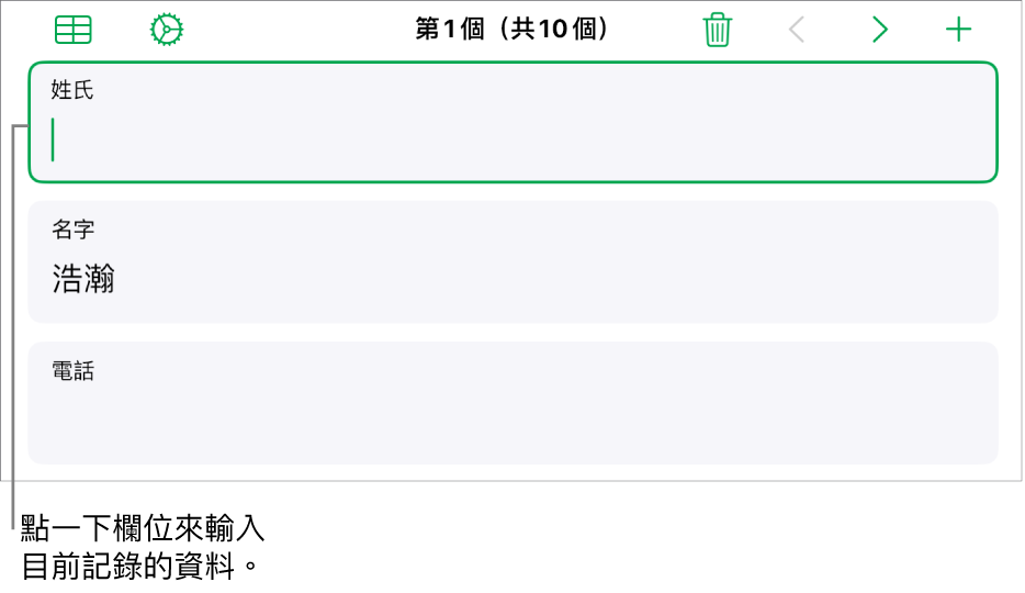 表單中的記錄顯示包含插入點的使用中欄位。