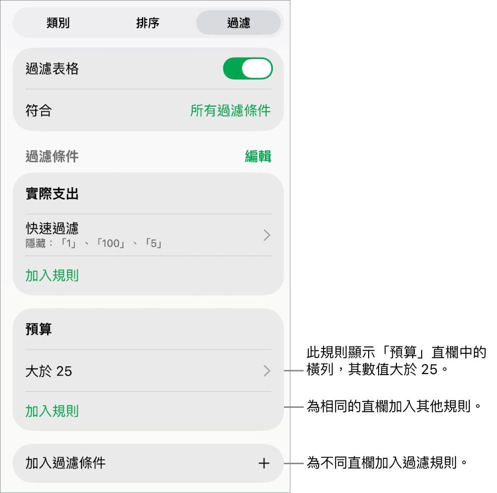 控制項目，用於加入新過濾規則或編輯現有過濾規則。
