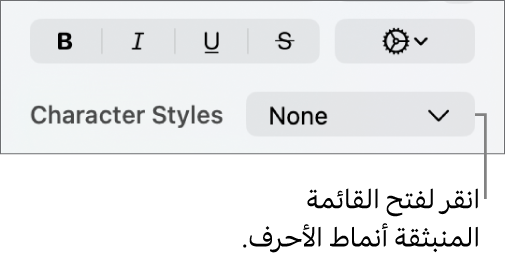 القائمة المنبثقة أنماط الأحرف.