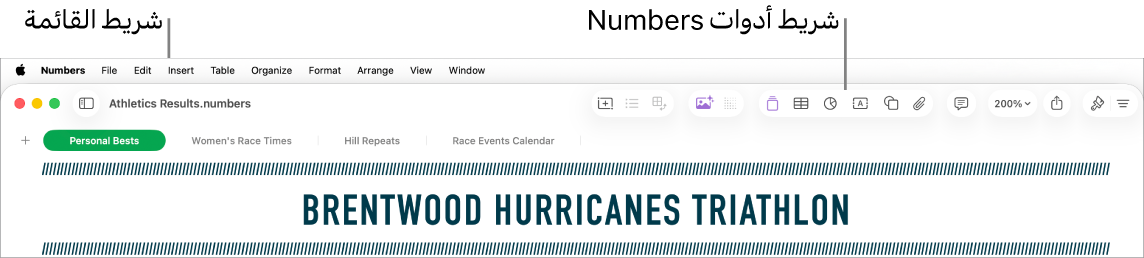شريط القائمة في الجزء العلوي من الشاشة وبه قوائم Apple و Numbers وملف وتعديل وإدراج وجدول وتنظيم وتنسيق وترتيب وعرض ونافذة ومساعدة. أسفل شريط القائمة يوجد جدول بيانات Numbers مفتوح به أزرار شريط الأدوات على طول الجزء العلوي لكل من عرض وتكبير/تصغير وإضافة فئة وجدول محوري وإدراج وجدول ومخطط ونص
