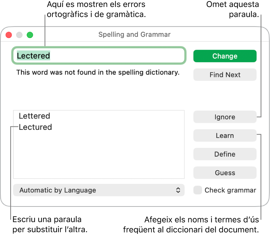 La finestra “Ortografia i gramàtica”.