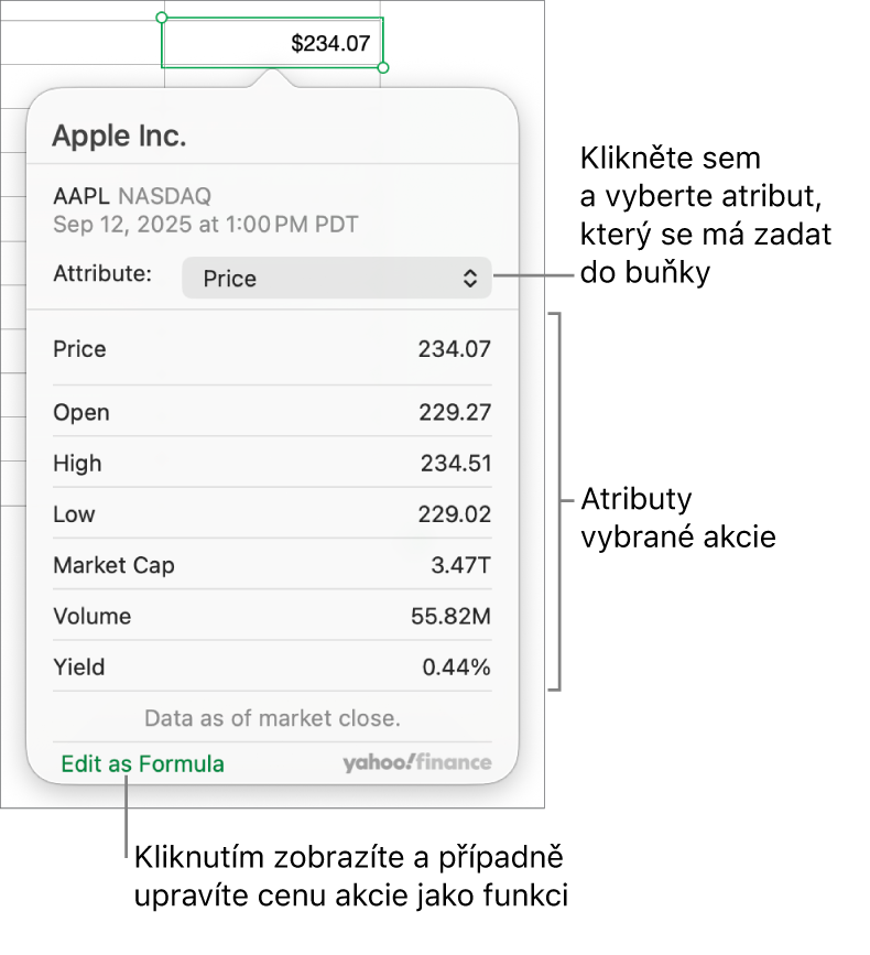 Dialogové okno pro zadávání informací o atributech akcií s vybranými akciemi Applu