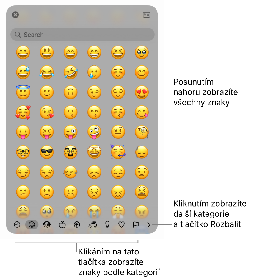 Okno Speciální znaky, obsahující emotikony, tlačítka pro různé typy symbolů u dolního okraje a také popisek tlačítka pro zobrazení okna Znaky v plné velikosti