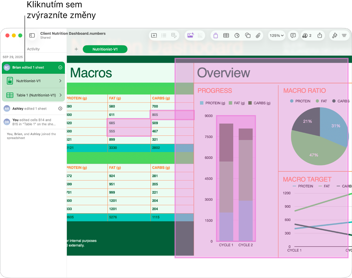 Sdílený tabulkový dokument s otevřenou nabídkou pro spolupráci a otevřeným seznamem aktivit