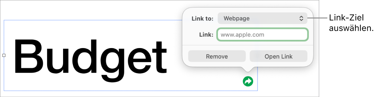 Die Steuerelemente des Linkeditors mit ausgewählter Webseite und den Tasten „Entfernen“ und „Link öffnen“ unten.