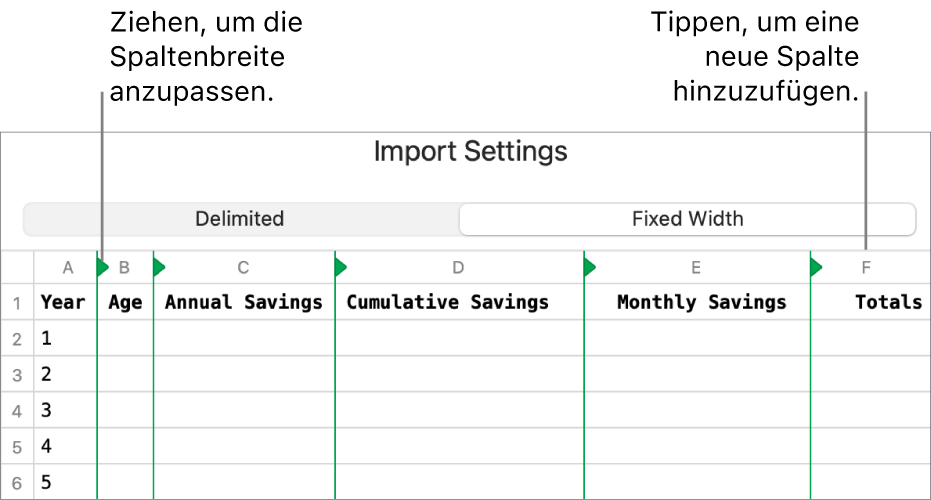 Die Importeinstellungen für eine Textdatei mit fester Breite.