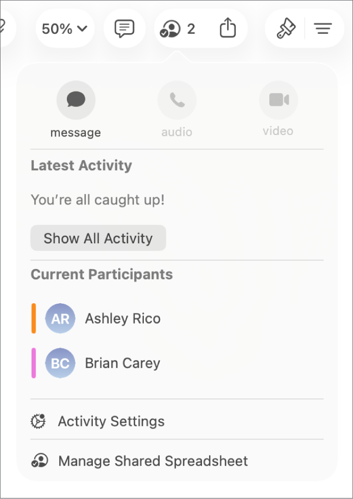 Το μενού συνεργασίας, στο οποίο εμφανίζονται τα ονόματα των ατόμων που συνεργάζονται στο υπολογιστικό φύλλο.