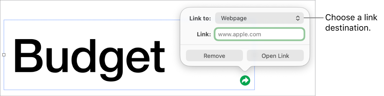 The link editor controls with Web Page selected, and the Remove and Open Link buttons at the bottom.