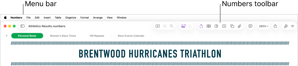 The menu bar at the top of the screen with Apple, Numbers, File, Edit, Insert, Table, Organise, Format, Arrange, View, Window and Help menus. Below the menu bar is an open Numbers spreadsheet with toolbar buttons.