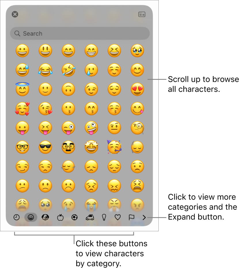 The Special Characters pop-up showing emoticons, buttons for different types of symbol at the bottom, and a callout to a button to show the full Characters window.