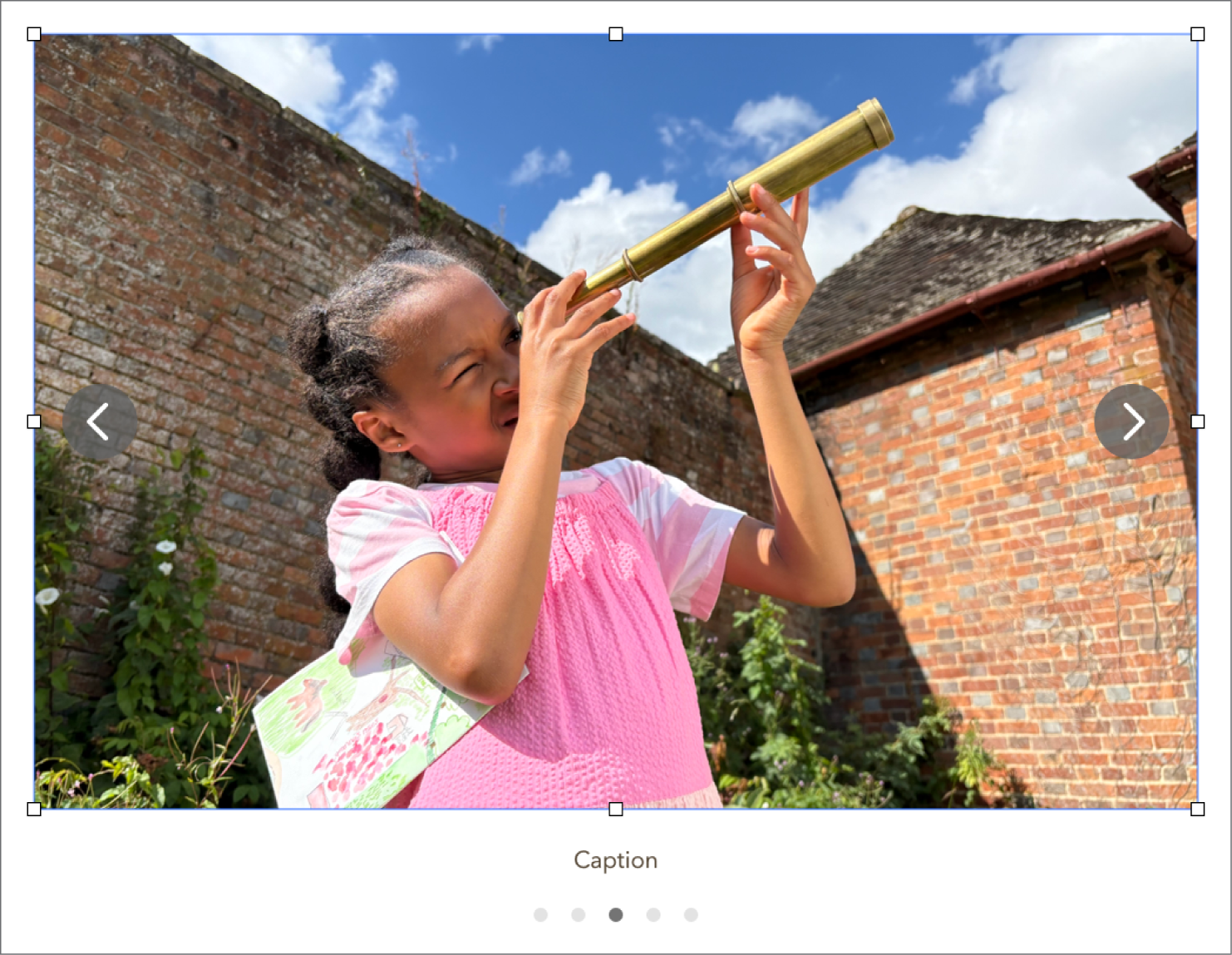 An image gallery object containing five images, with a caption below it and navigation arrows on the left and right sides of the image.