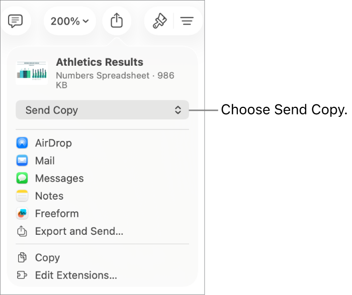 The Share menu with Send Copy selected at the top.