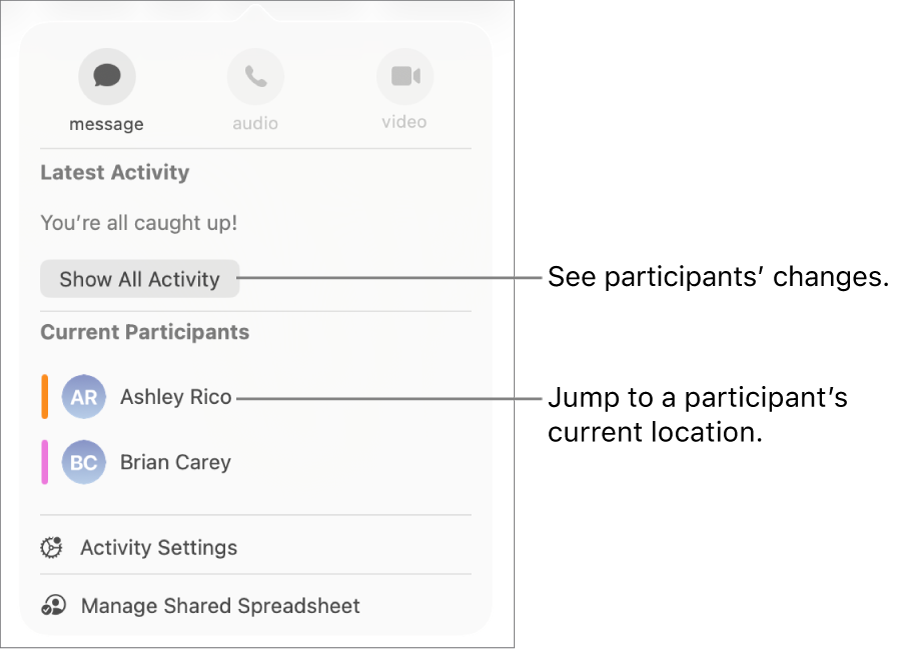 The collaboration menu with two current participants listed.