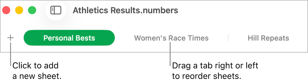 The tab bar for adding a new sheet and reorganising sheets.