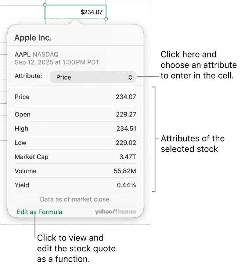 The dialogue for entering stock attribute information, with Apple as the selected stock.